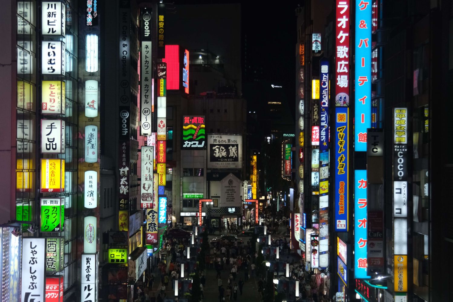 Typical vertical neon signs that is associated strongly with the image Tokyo. There are many of them in Tokyo, but you will not get a better vantage point than this.