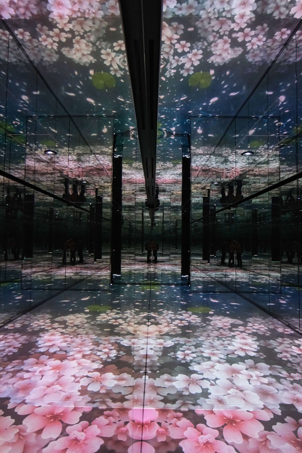 The best exhibit they have is this fully mirrored room. A animation is projected which is reflected by tens of mirrors.