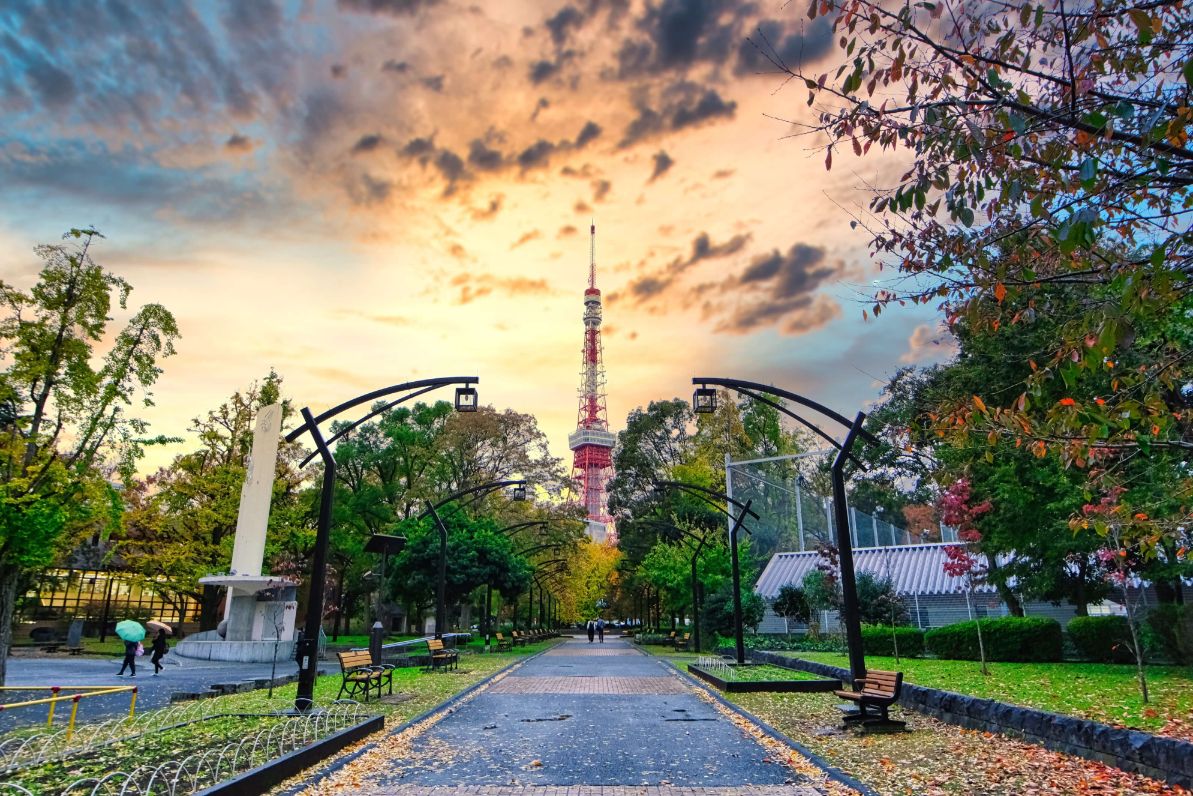 This boulevard has a straight view to the Tokyo Tower. The greenery surrounding the Tokyo Tower is different from buildings surrounding the Tower in other pictures.