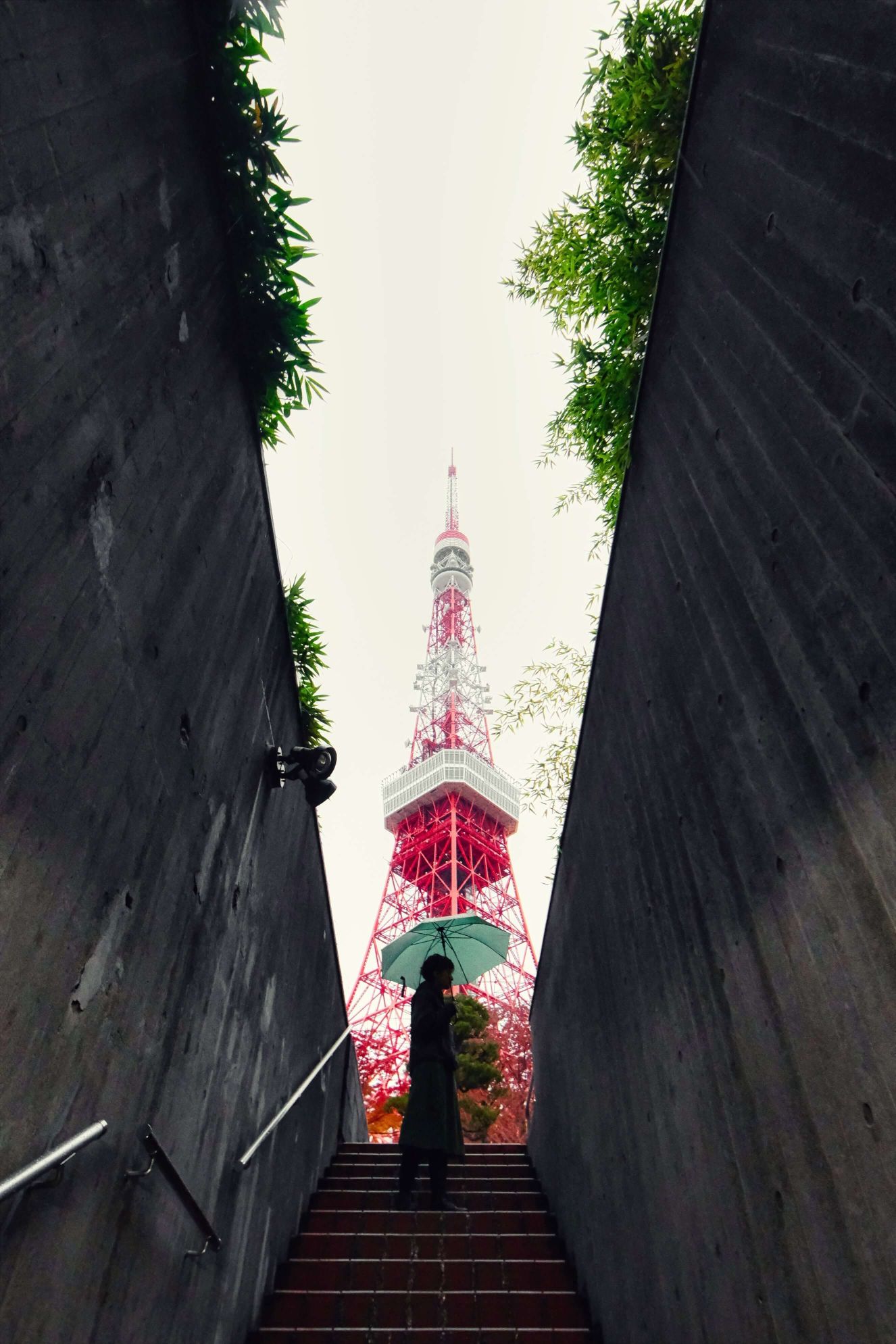 This picture was taken on a raining day, but the color of the umbrella balances the red of Tokyo Tower. Together, the reds and the green make up this picture.