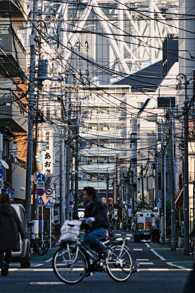 The color palette of Tokyo is infused in this picture. The above picture was taken half an hour before sunset.